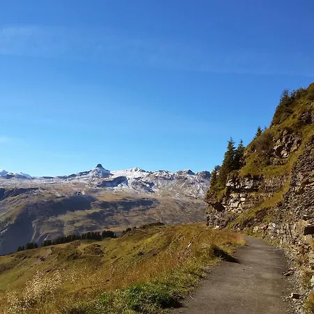 Hotel Tannenboden - Steinbock *