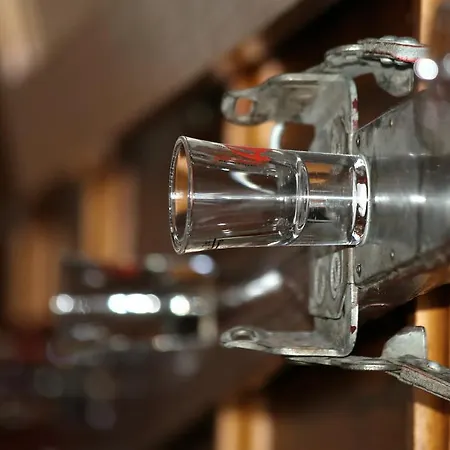 Hotel Tannenboden - Steinbock *