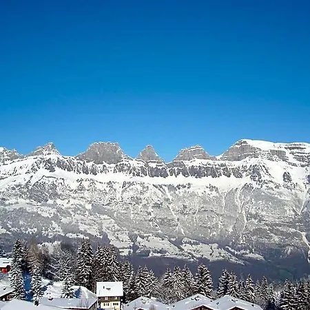 Tannenboden - Steinbock *