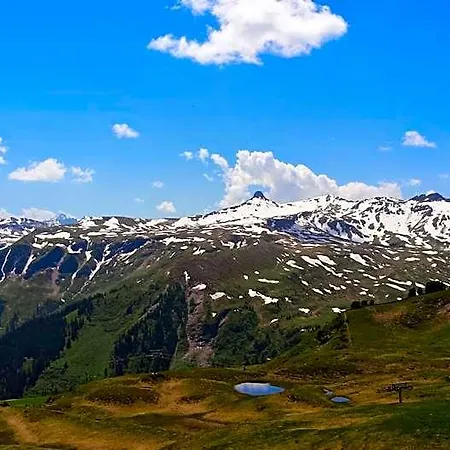 Tannenboden - Steinbock Flumserberg