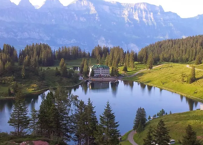 Tannenboden - Steinbock Hotel