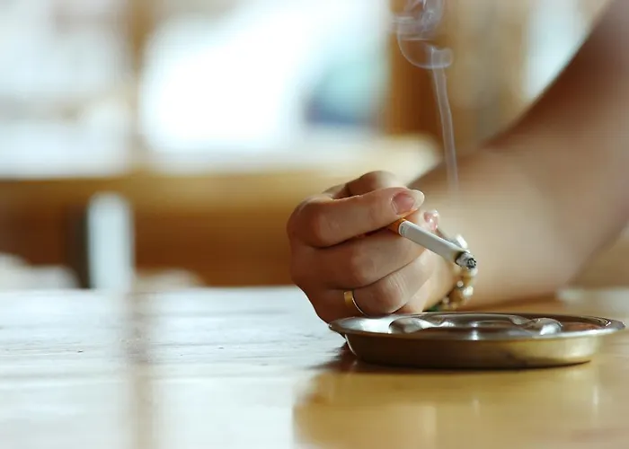 Tannenboden - Steinbock