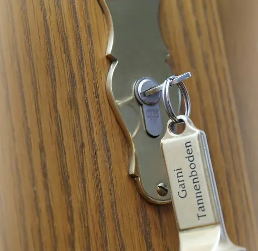 Tannenboden - Steinbock Hotel *