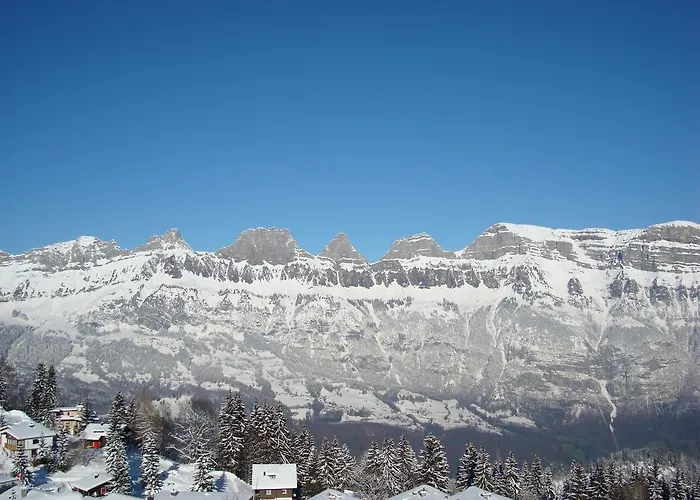 Tannenboden - Steinbock Hotel *