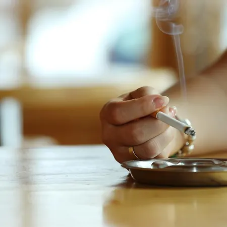 Tannenboden - Steinbock