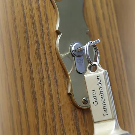 Tannenboden - Steinbock Hotel *