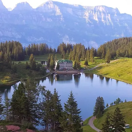 Tannenboden - Steinbock Hotel